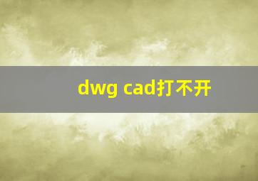 dwg cad打不开